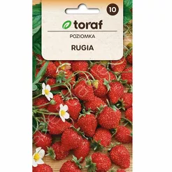 Poziomka Rugia 0,2g T 