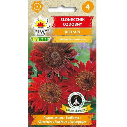 Słonecznik ozdobny Red Sun 2g T