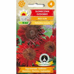 Słonecznik ozdobny Red Sun 2g T 