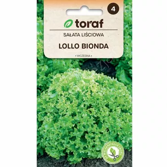 Sałata Lollo Bionde 1g T 