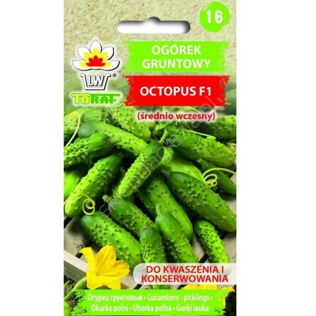 Ogórek Octopus 1g Toraf  