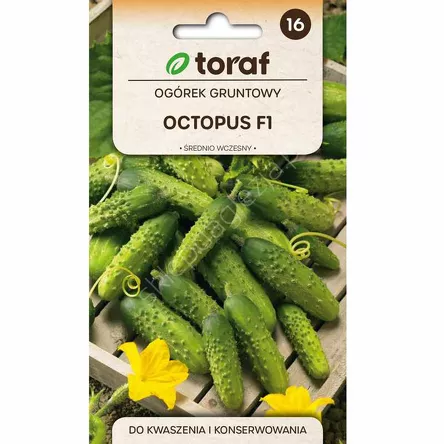 Ogórek Octopus 1g T