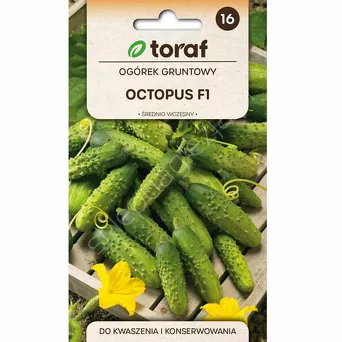 Ogórek Octopus 1g T  