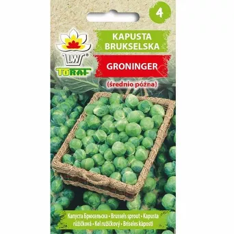 Kapusta brukselka Groninger 2g T