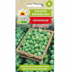 Kapusta brukselka Groninger 2g T