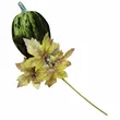 Pik Dynia materiałowa zielona 48cm