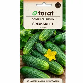 Ogórek Śremski F1  5g T