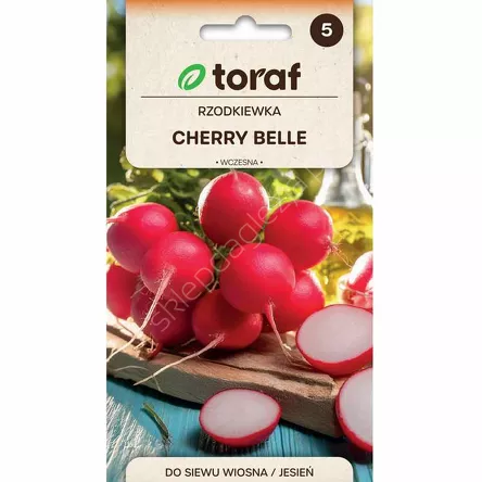 Rzodkiewka Cherry Belle 10g T