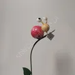 Pik metalowy ślimak różowy