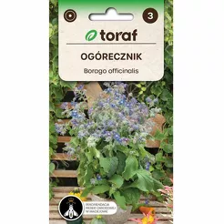 Ogórecznik lekarski  2g T