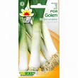Por Golem 1g Toraf