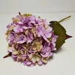 Hortensja pojedyńcza 50cm