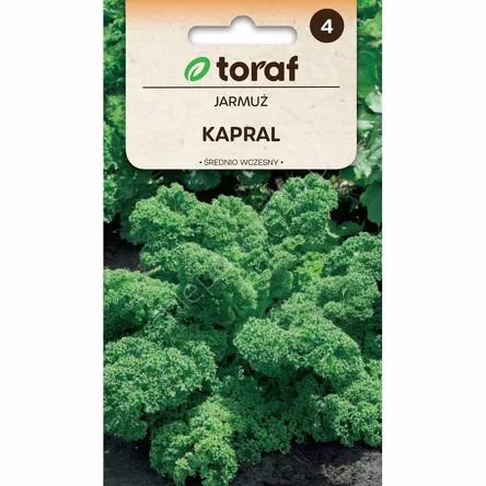 Jarmuż Kapral  1g T