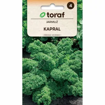 Jarmuż Kapral  1g T 