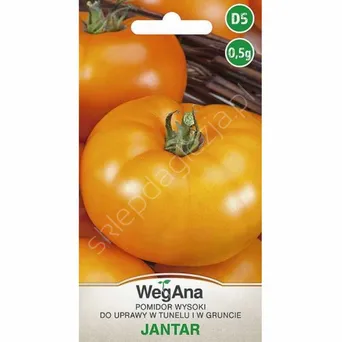 Pomidor Jantar 0,5g W 