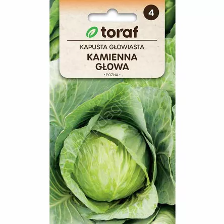 Kapusta biała Kamienna Głowa 2g T