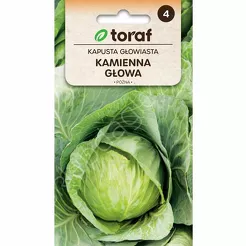 Kapusta biała Kamienna Głowa 2g T 