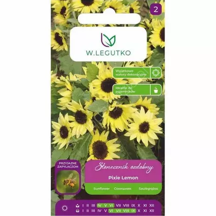 Słonecznik ozdob karł.poj.poli Pixie Lemon 3g  L