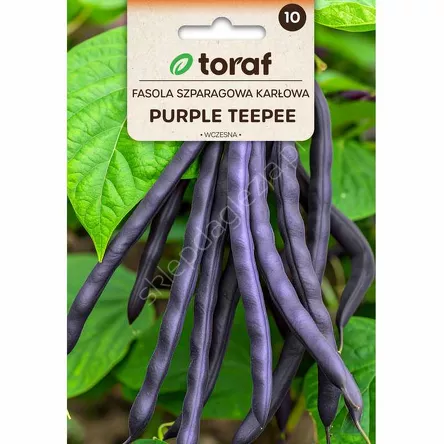 Fasola szparagowa fiolet Purple Teepee karł 30g T