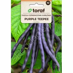 Fasola szparagowa fiolet Purple Teepee karł 30g T