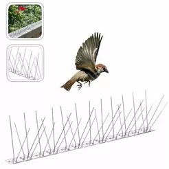 Kolce przeciw ptakom 50cm