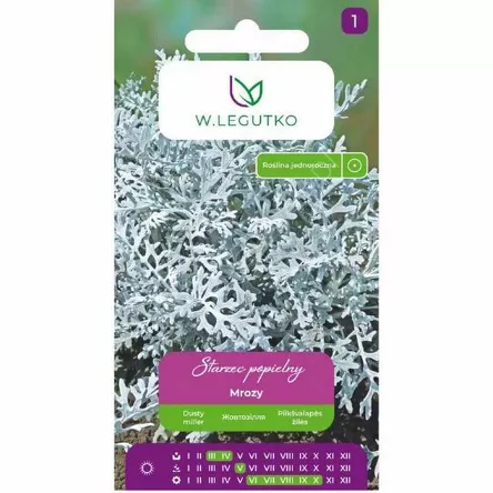 Starzec popielny Mrozy srebrnobiałe 0,2g L