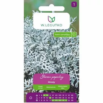 Starzec popielny Mrozy srebrnobiałe 0,2g L