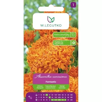 Aksamitka wzniesiona Fantastic pomarańczowa 0,40g L