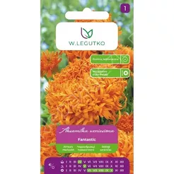 Aksamitka wzniesiona Fantastic pomarańczowa 0,40g L