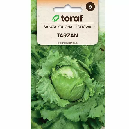Sałata Tarzan lodowa 1g T