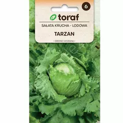 Sałata Tarzan lodowa 1g T