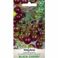 Pomidor Black Cherry 0,2g W 