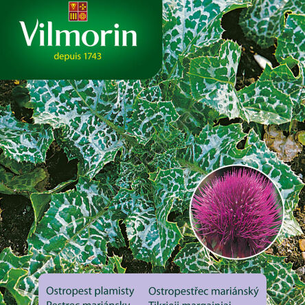 Ostropest Plamisty 2 g Vilmorin  