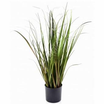Trawa w doniczce 65cm