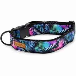 Obroża KenDog S 3cm klamra Magia Koloru