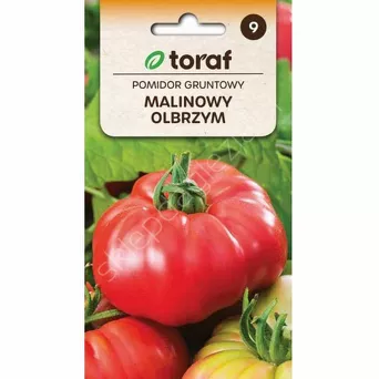 Pomidor gruntowy Malinowy Olbrzym 0,5g T