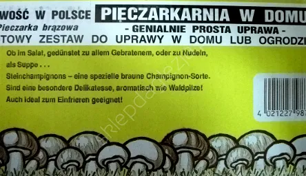 Grzybnia - Pieczarka brązowa karton