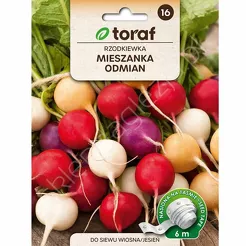 Rzodkiewka MIX Odmian Taśma 6m T 