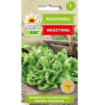 Roszponka Verte de Cambral 1g T