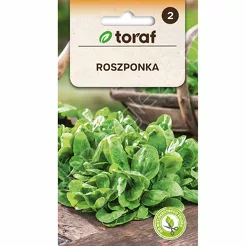 Roszponka Verte de Cambral 1g T