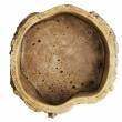 Doniczka cer Dijk Pień 17x8cm