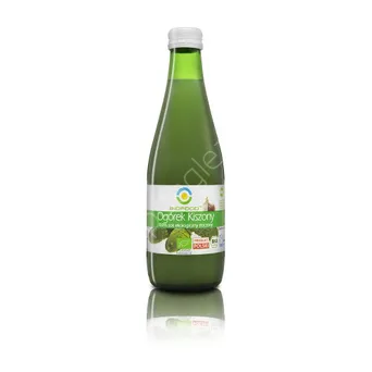 Bio Food Sok kiszony 0,3L z ogórków 