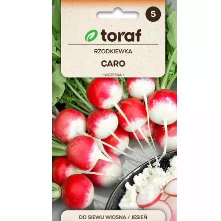 Rzodkiewka Caro 10g T