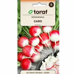 Rzodkiewka Caro 10g T 