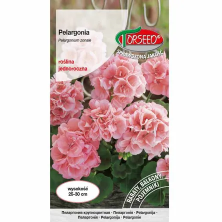 Pelargonia rabatowa F2 różowa 10szt To
