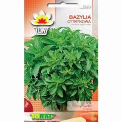 Bazylia cytrynowa 0,5g T