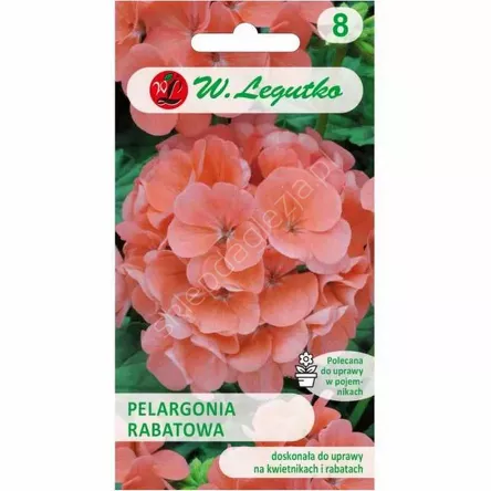 Pelargonia rabatowa Gama F1 łososiowa 0,05g  L