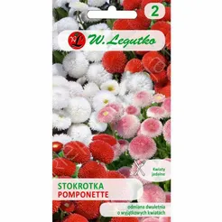 Stokrotka pospolita Pomponette mieszanka 0,1g L