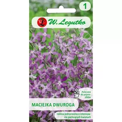 Maciejka dwuroga różowolawendowa 5g  L