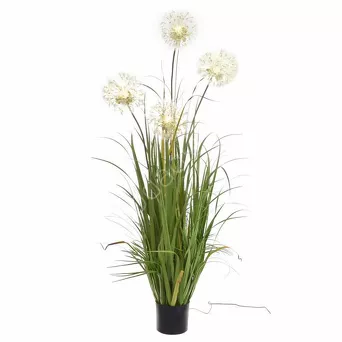 Dmuchawiec w doniczce Led